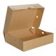 CAJA KRAFT MULTIUSO L NATURAL PACK V.2 (1X250)